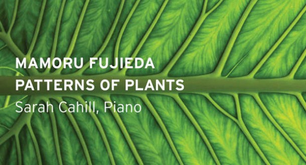 Five Questions for Sarah Cahill about Mamoru Fujieda’s Patterns of Plants